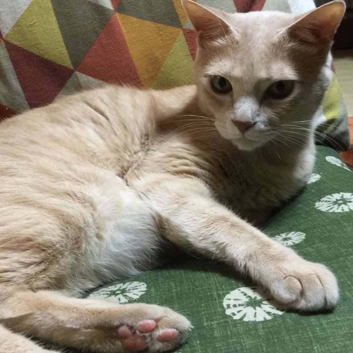 33b0ff50 0b6d 45af 875b d7190fba8d82