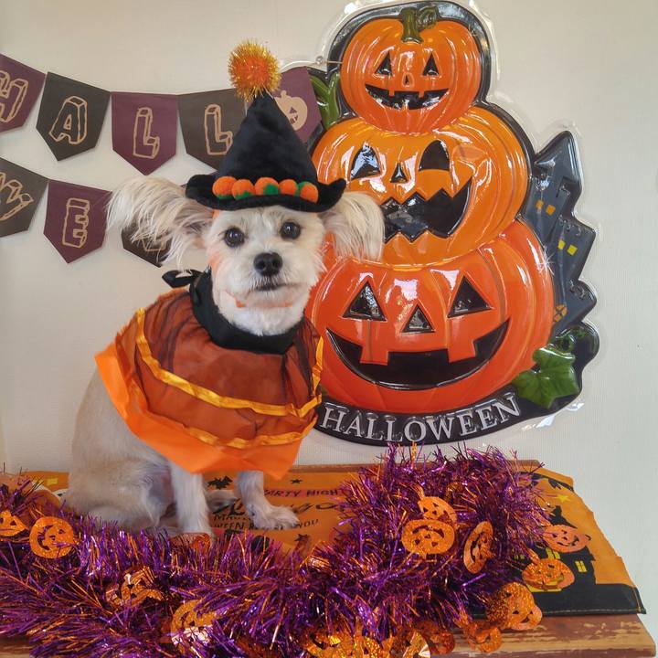 33b15670 a38e 4c96 b922 2b58e7d1a3c1