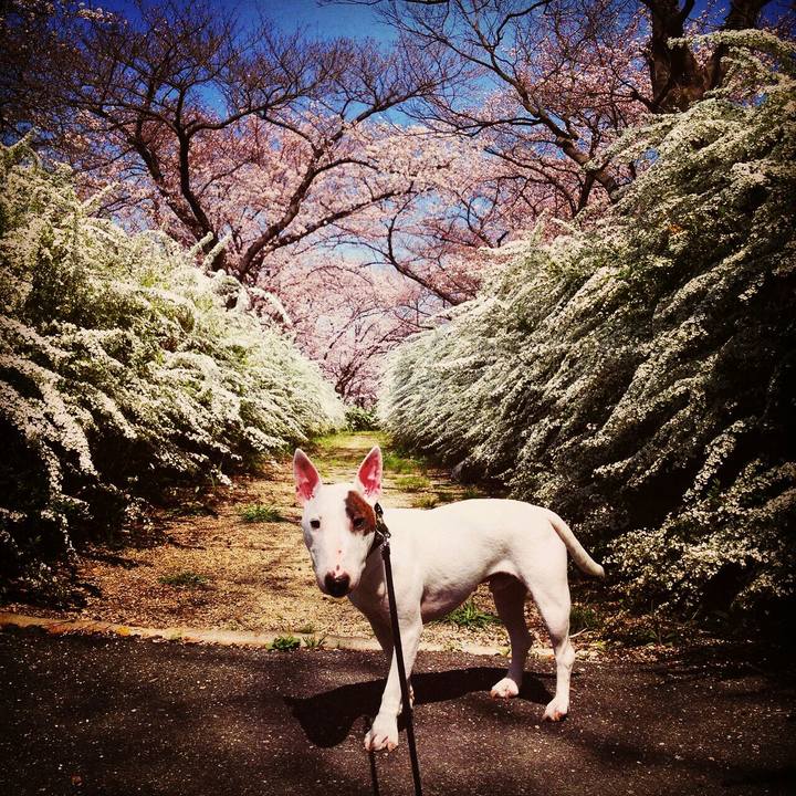 33b1afa2 3f5f 4e7d 90cc 85b97149e3af