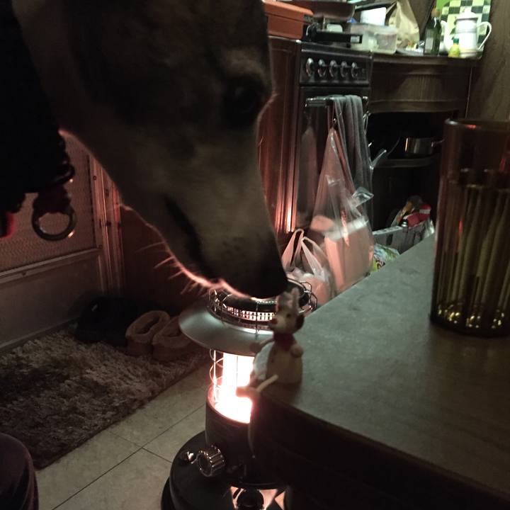 33b26815 913f 42f3 8c17 aa5d4e26406e