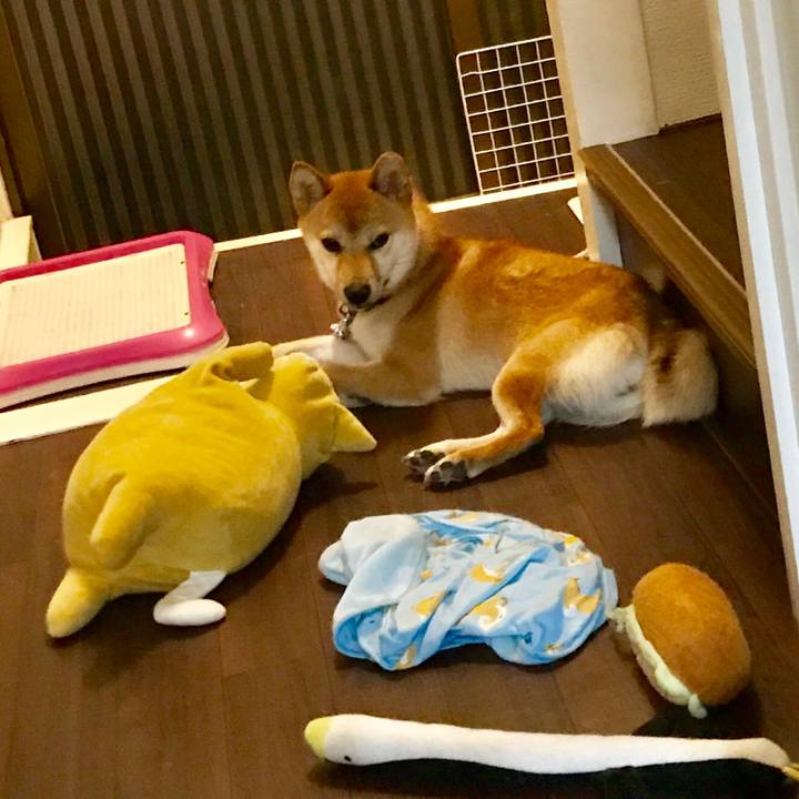 33b30d30 a07d 4962 804e 6cb3c6b8d447