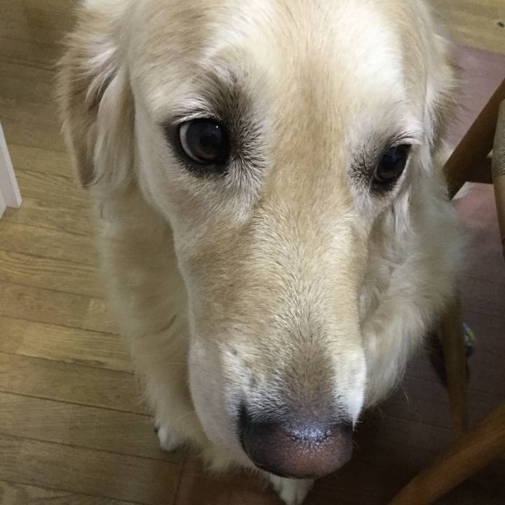 33b36dbc b37f 45e0 9eda 53c418c5efb0