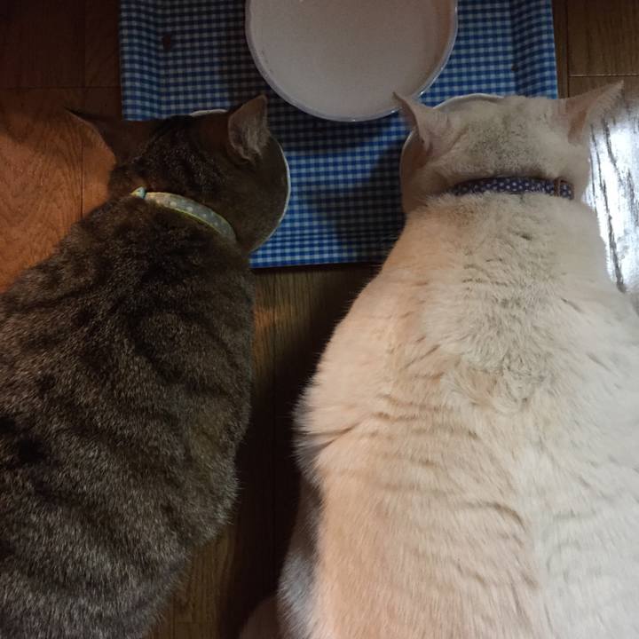 33b3805a a03e 4f0b 8399 49cf84ed8903