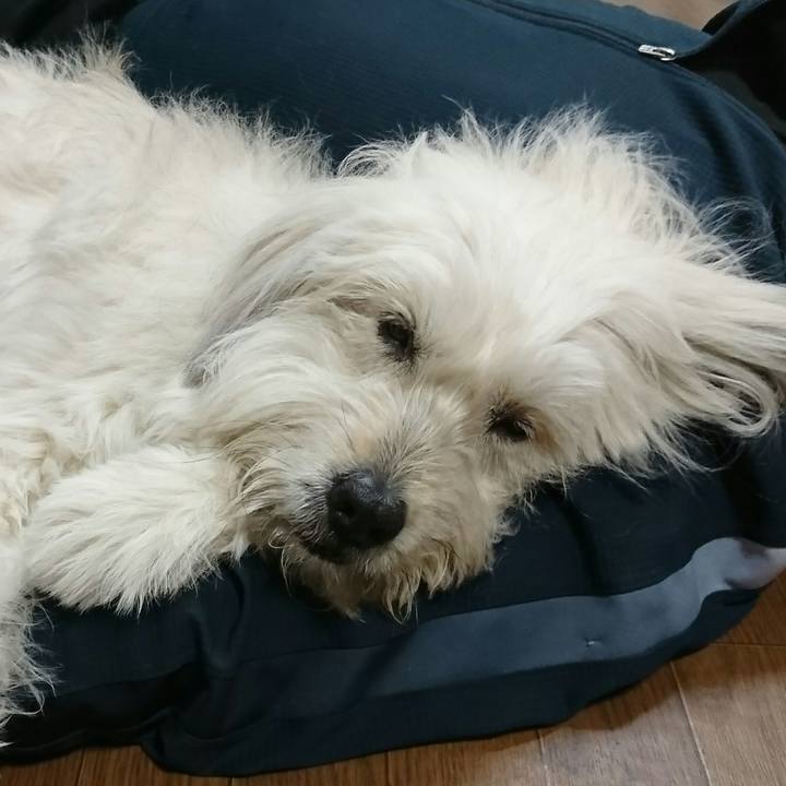 33b39017 ccd4 4233 87d1 f58532e4cc55