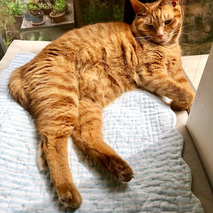 33b3b32b 574f 45c4 94a3 e27d87f8b210