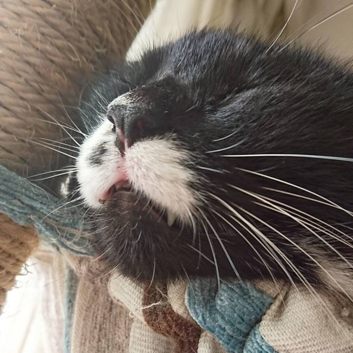 33b435a0 2be6 4279 9cb6 d59714276d70