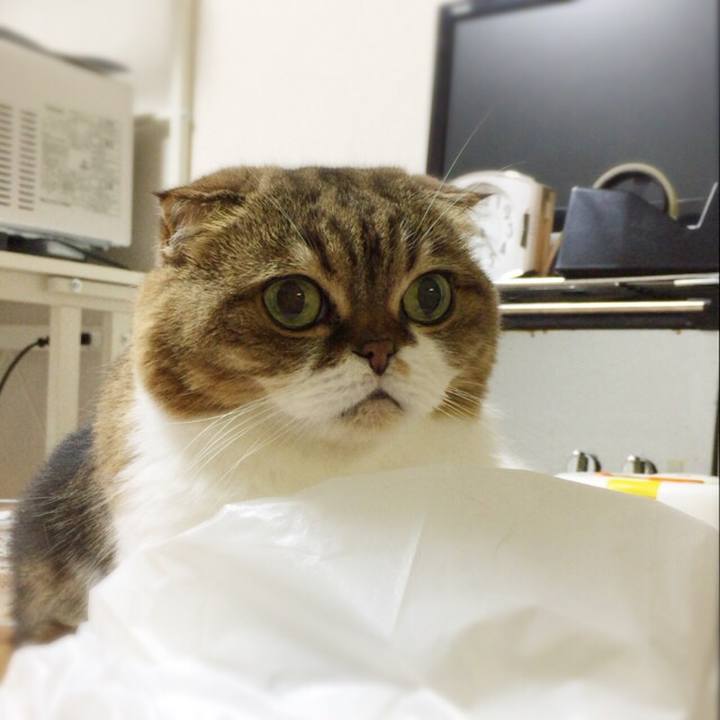 33b466a7 f7df 4344 b68d 2b2cc70c18a1