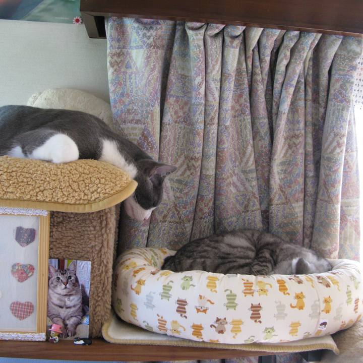 33b4a0be 5ff5 4bc4 8631 ea7819745c3a