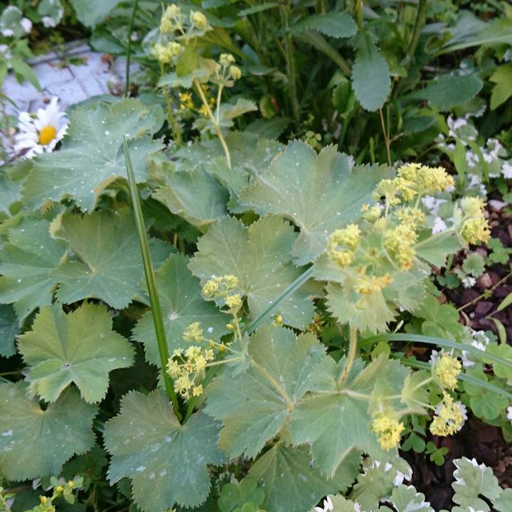 33b5540d bef0 4420 ad50 e71ff6328d4d