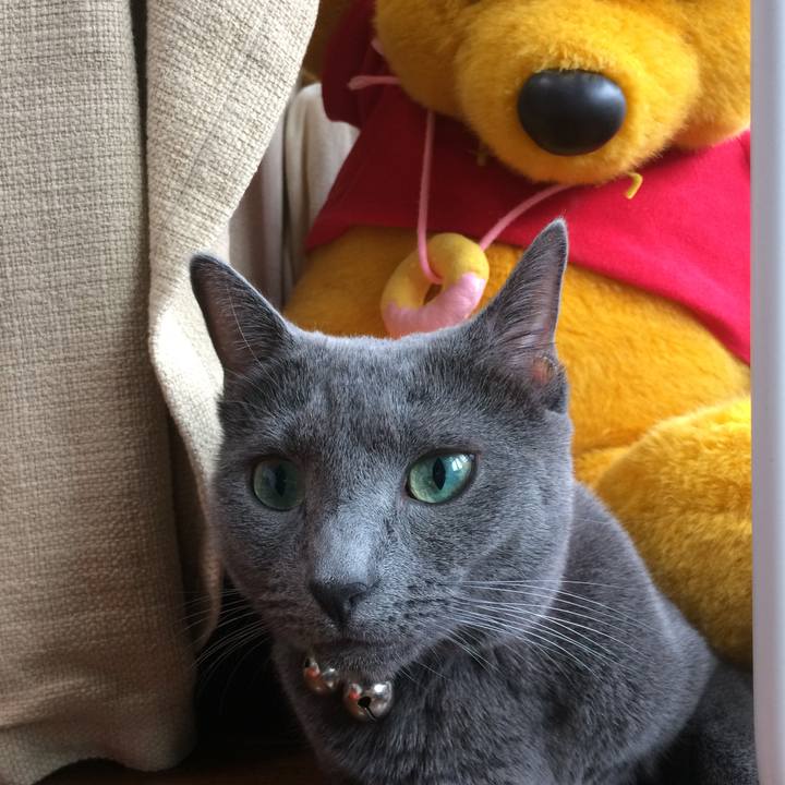 33b56e3f 0409 4daa 848b 7b2e72745775