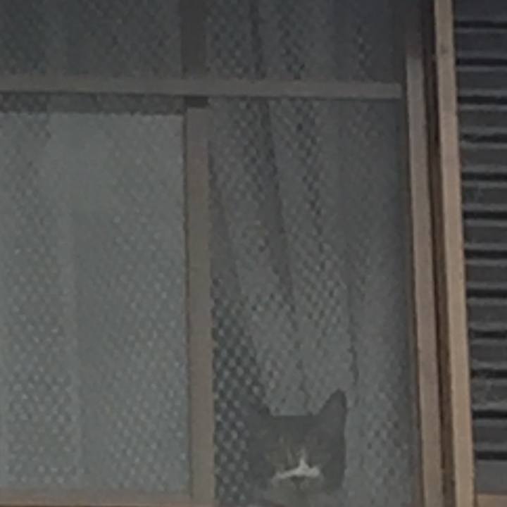 33b57219 e6ae 4c40 877b 7ed5199bbe45