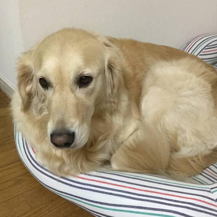 33b59a54 d6ce 42f6 8c98 bd0746aaa2dc