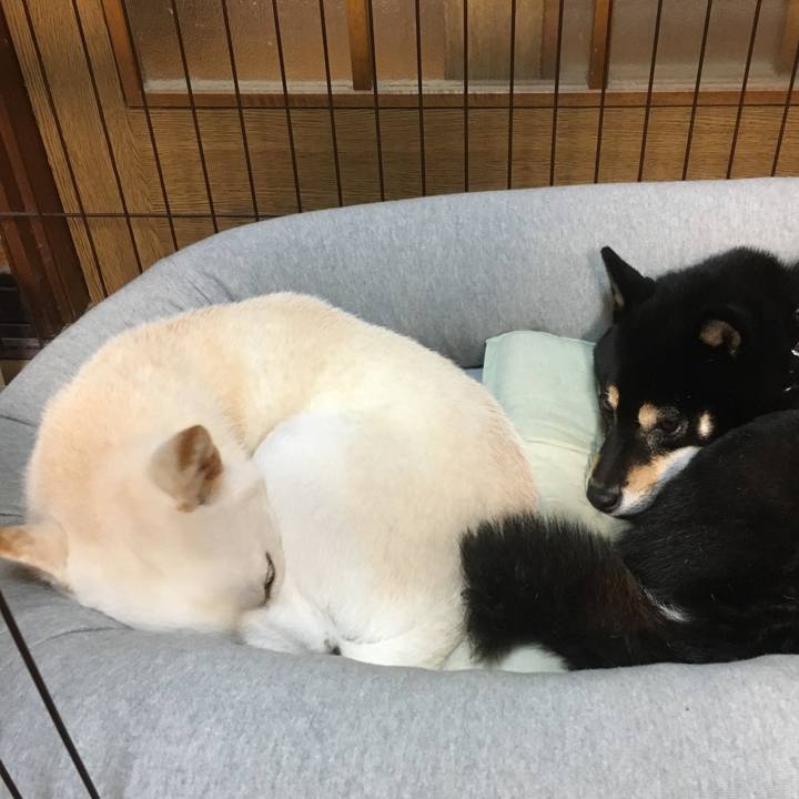 33b5e7fa 96cf 4815 a7d7 618839b5f58d