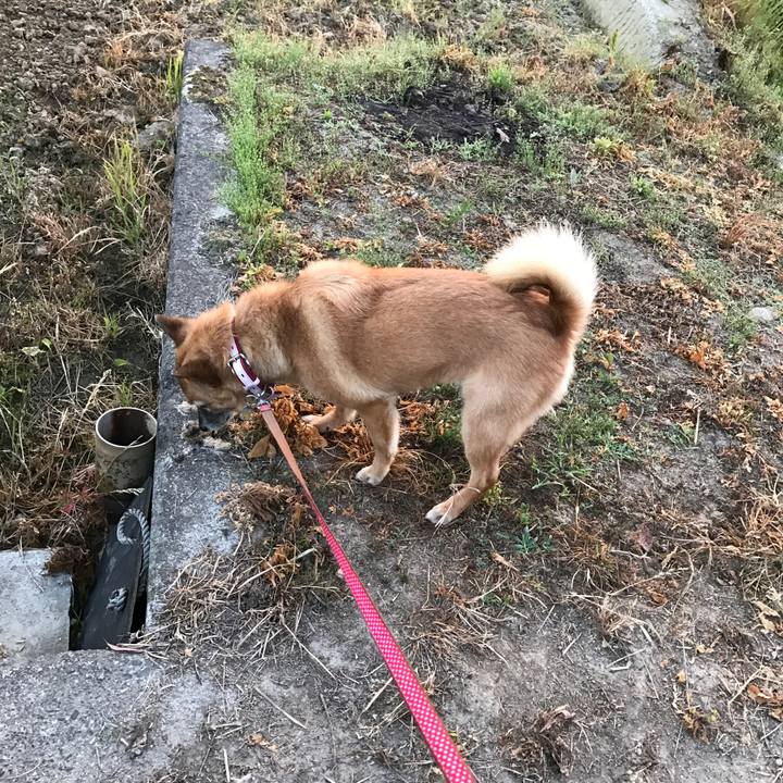 33b6955d 03c4 4ae2 a47d 95e676bb9082