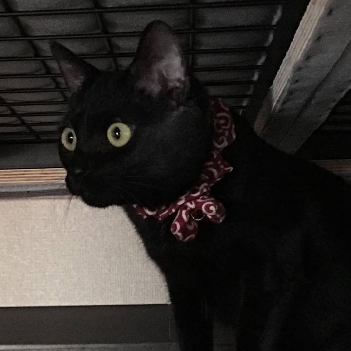 33b6ffc7 f698 45d3 90f3 2fad4e3e86df