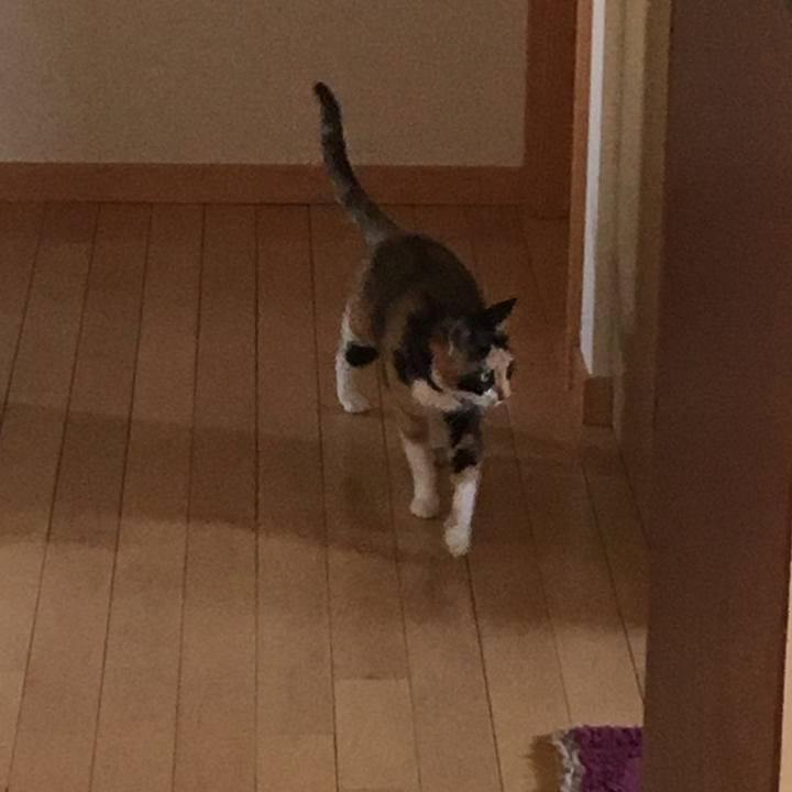 33b74ce2 0ae9 4032 b46d 2335bd7afc45