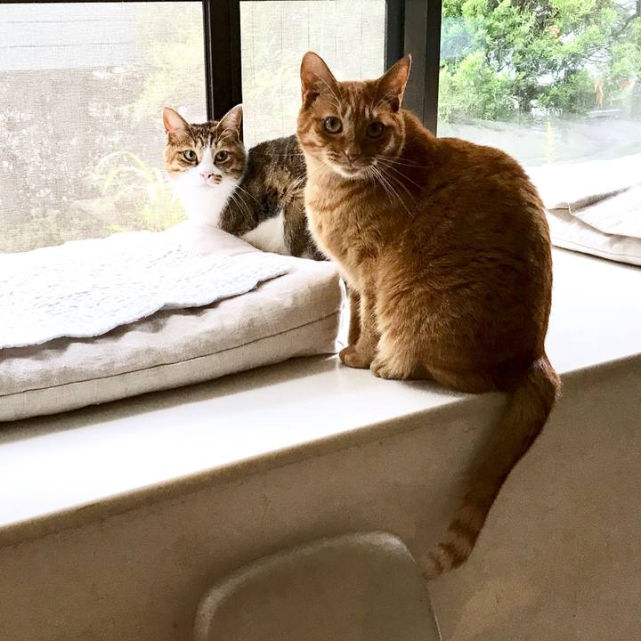 33b7b54f 6e46 4f67 84d5 ccdd0085ef88