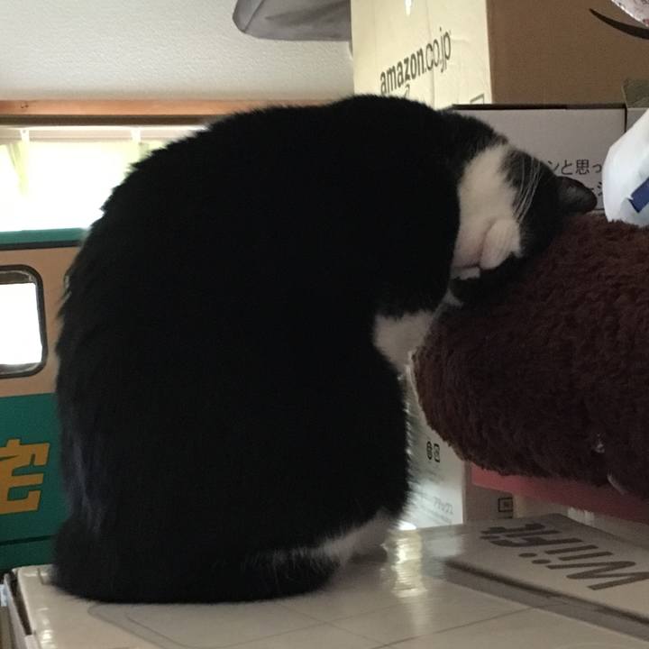 33b7bb6c 284c 46d0 81b2 43aaf444c60d