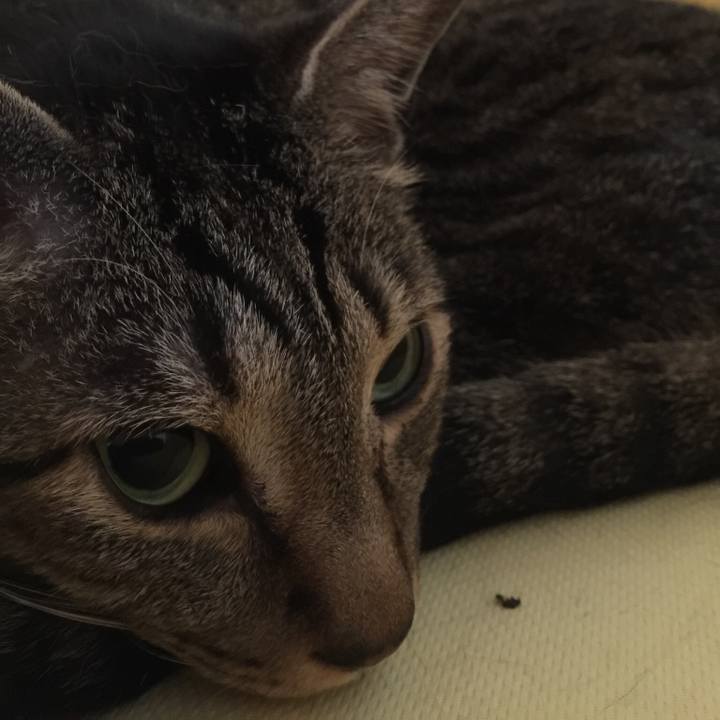 33b7de7b 0ce2 4e30 a046 f7e6a337a577