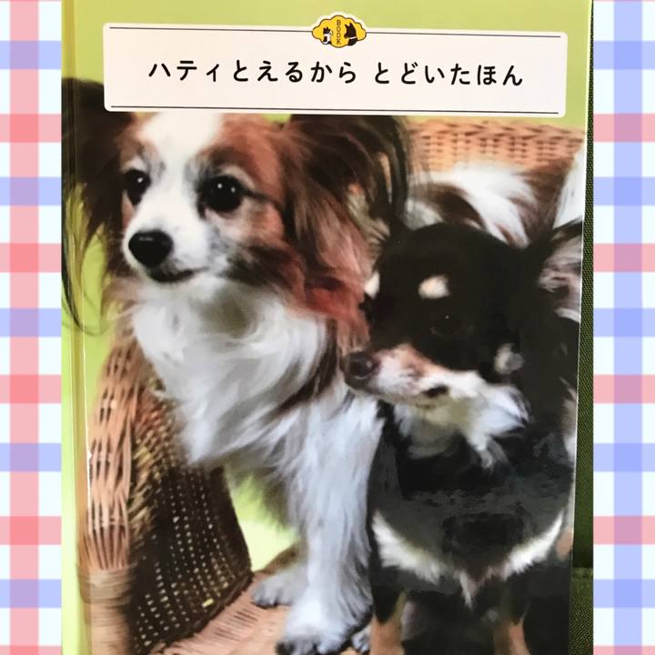 33b7e6ca be99 459c 90a1 914d1ec92737