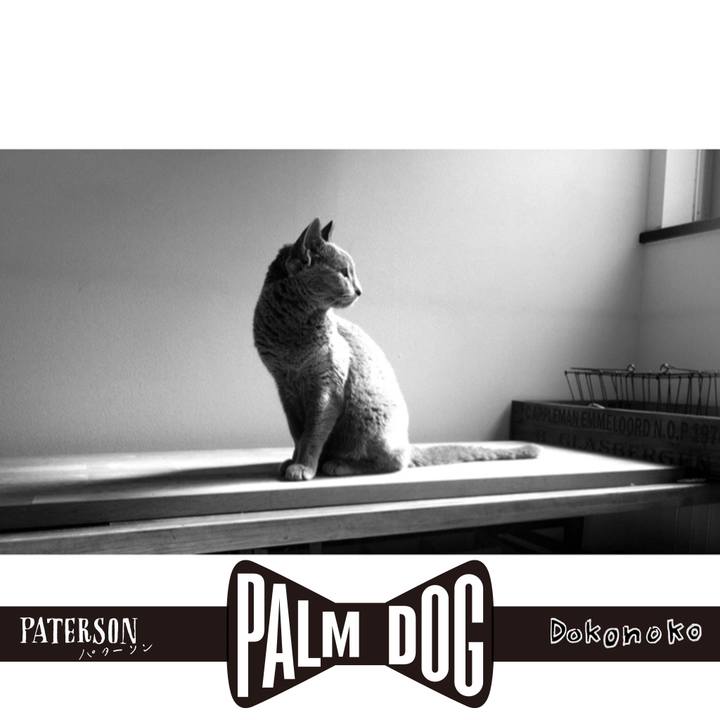 33b7e96e cc6a 45fd 9723 f08de53e49fe