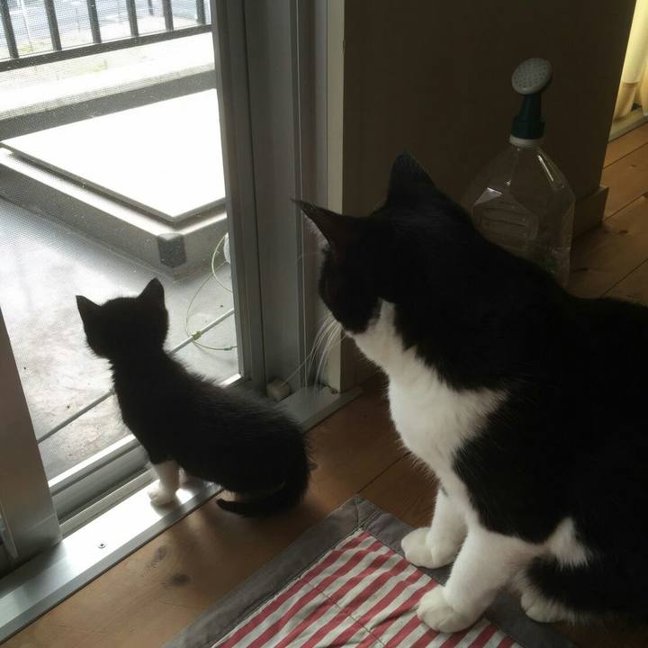 33b84f60 416f 458e 8115 3b008995605d