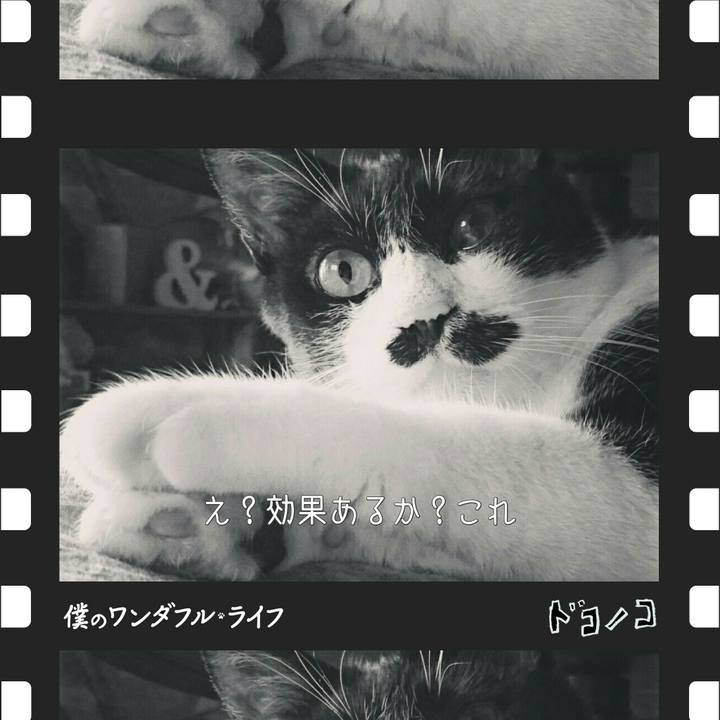 33b87252 be3d 40ab 8fad e4a7a8887f89