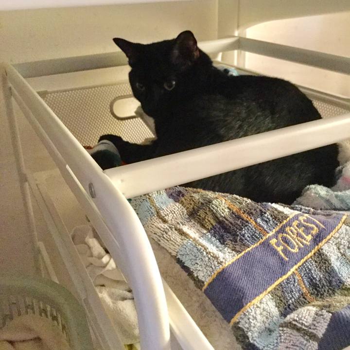 33b8b97f e256 48ff b392 c293ad6cabc0