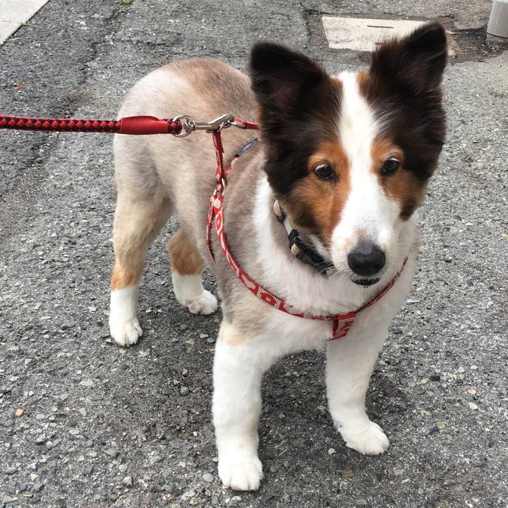 33b994b5 39ff 4e5e ac5d 5b26fa77eb9f