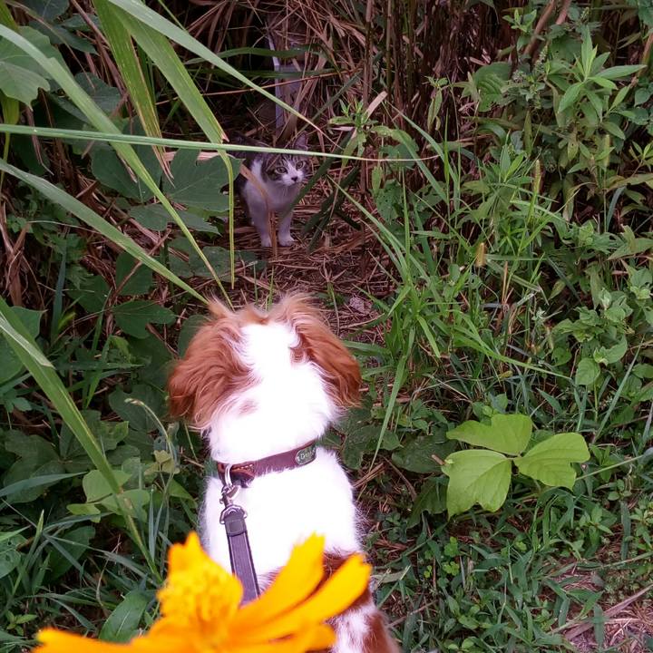 33b9c1a2 d86c 4e7c a8ed 9eb8eafe41d9