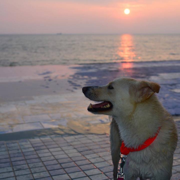 33b9fcee 35dd 45ba 9a55 85ff5ec5a8c2