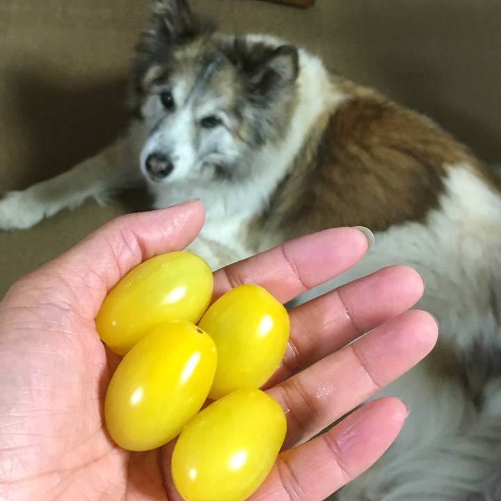 33ba420a 3258 42d3 b243 2b6e8c3607fa