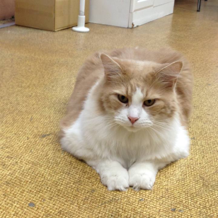 33baacd3 5c57 4af0 94e8 b47e6100846f