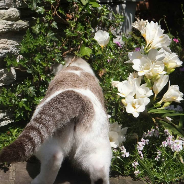 33bae8ed 5df6 41fd 8551 cd804a4ecaca