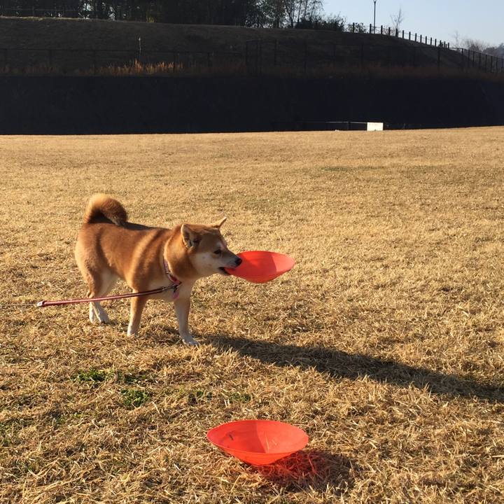 33bb0c8a 8ec6 45be 8cad f7b10f9e3fb9