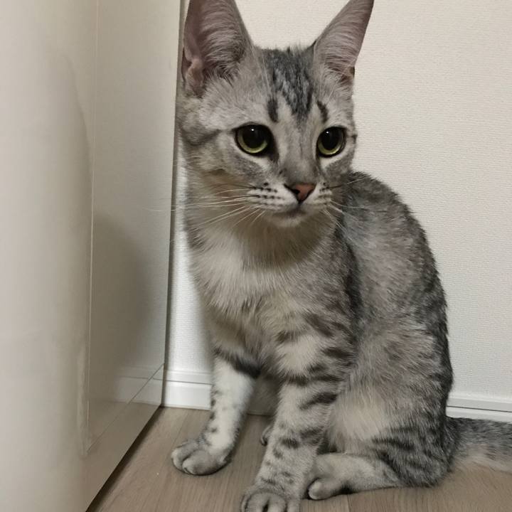 33bb0c90 ebbb 4945 a90e 61111ab808e4