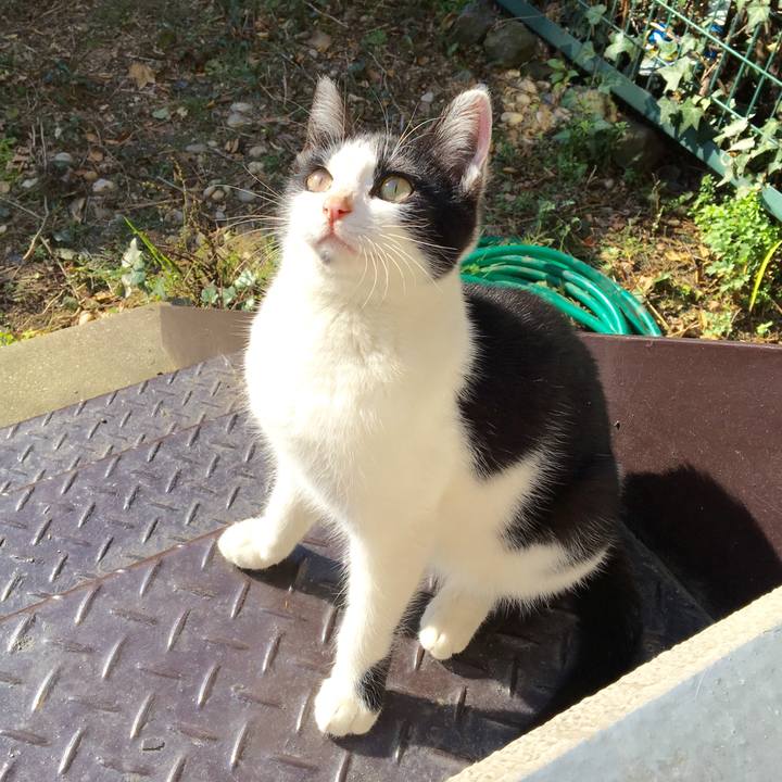 33bb1e11 7082 4d44 a266 fe57e04644a8