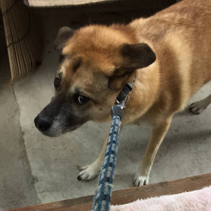 33bb2d9a 2948 4449 8061 379b363e60a7