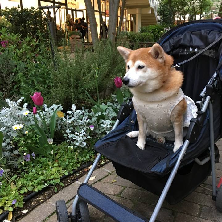 33bb5775 2a36 41f0 9cb9 80060170c90b