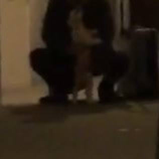 33bc03db d13c 491c 84ee 48dbaaa93f77