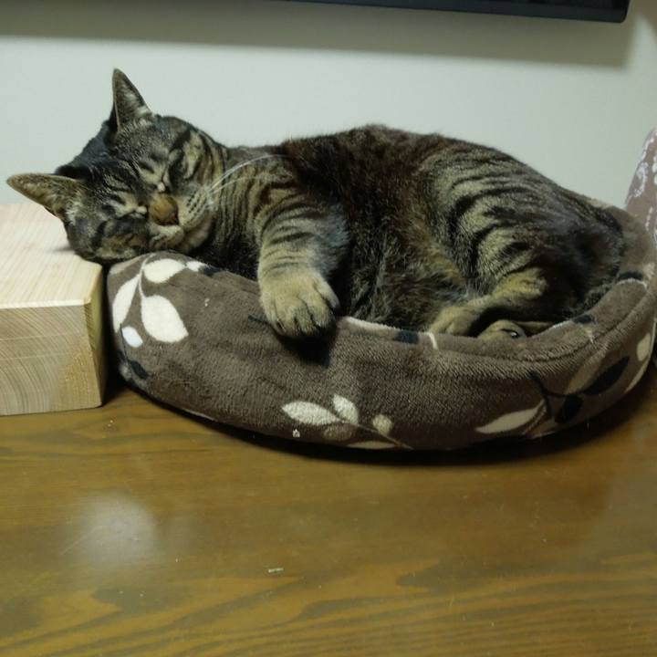 33bc6ebf eb6d 488a a85c a7b755a5f380