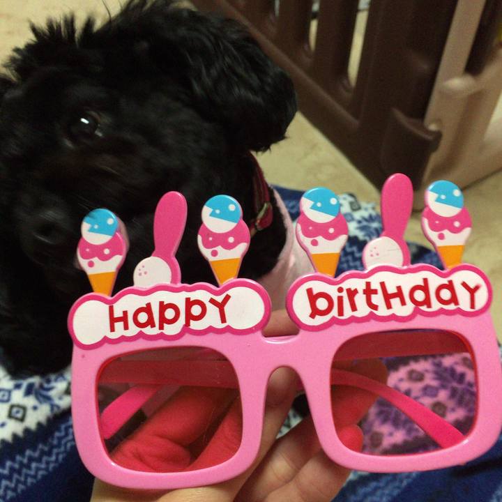 33bcf82a 21fc 4bac 948e 4a1179971214