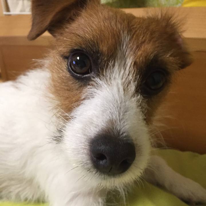 33bd35b4 ab67 4b9b b3d1 bfaf45943f63