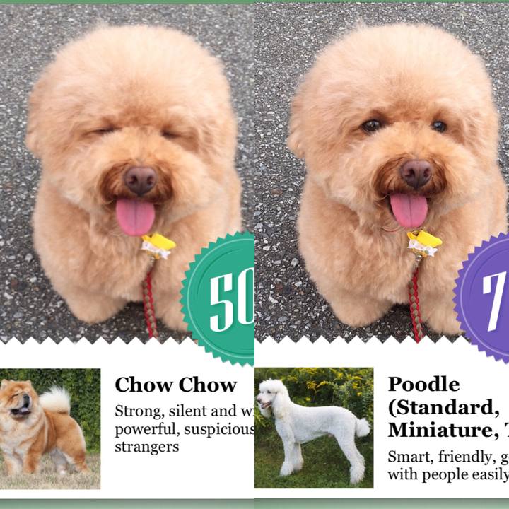 33bd37d0 7620 428c a508 10b423104ca8