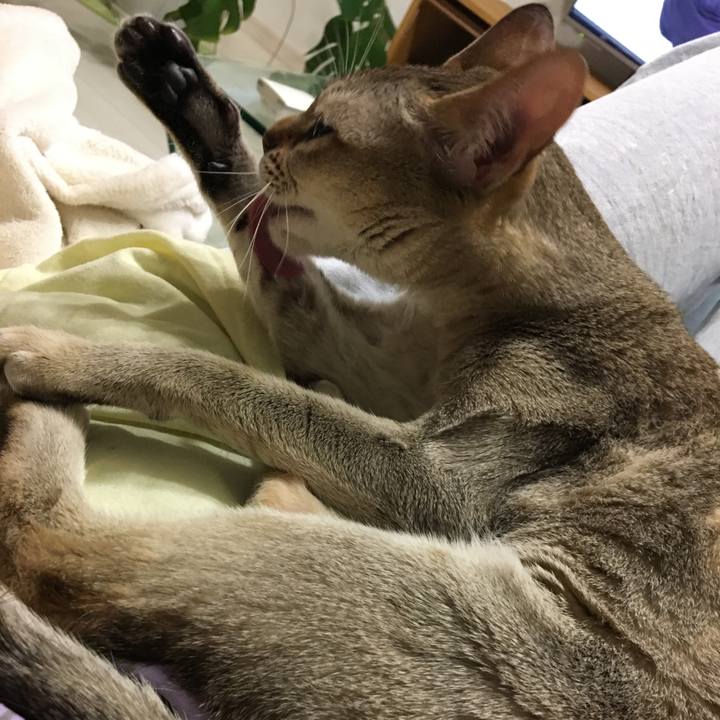 33be1baa 9faa 46dd 832c 1d53731c32a7