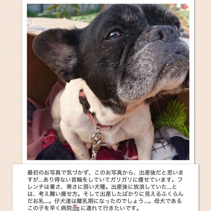 33be4ed0 ae59 4ad1 857d 0c9a7d58311a