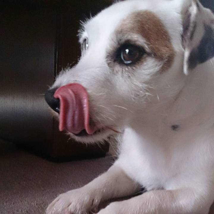 33be7098 bb5d 4edb 8d2d 814c6ad5aa1a