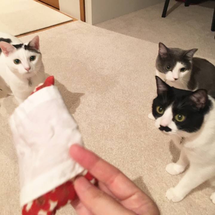 33bebb8a dae6 4e1d b43e a5bf4781d48b