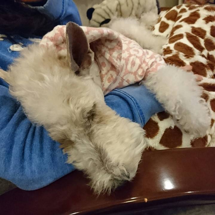 33bec85c 006a 474f acf3 fbd7f5cb17df