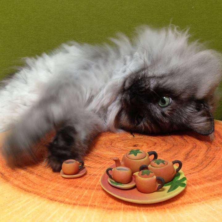 33bf73d5 22df 497e 9cb7 dd9b48fe67fe